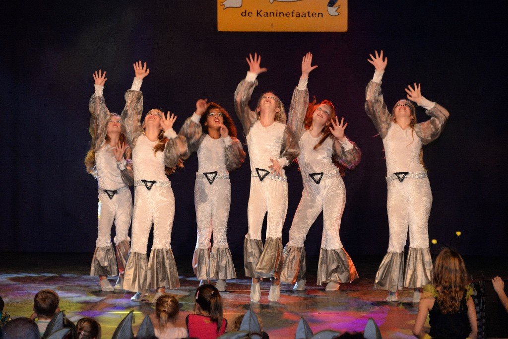 ../Images/Dansmariekefestival 2017 310.jpg